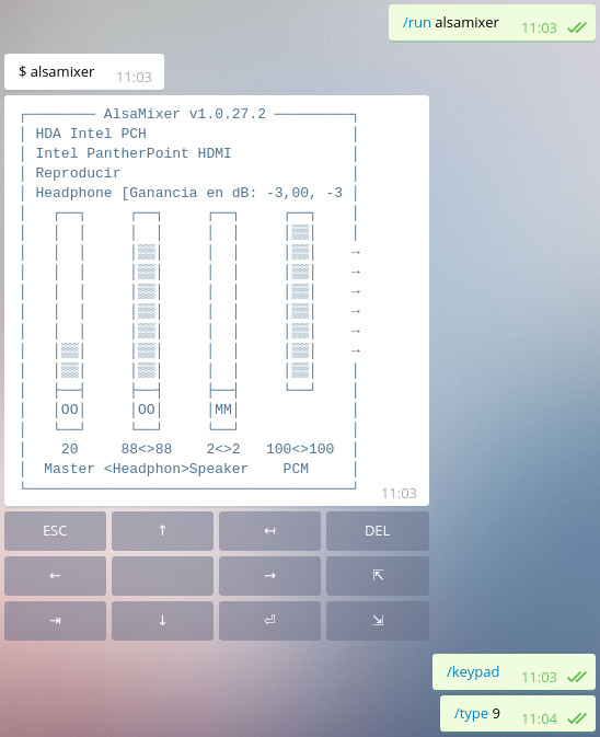 Graphical application example, alsamixer in this case.